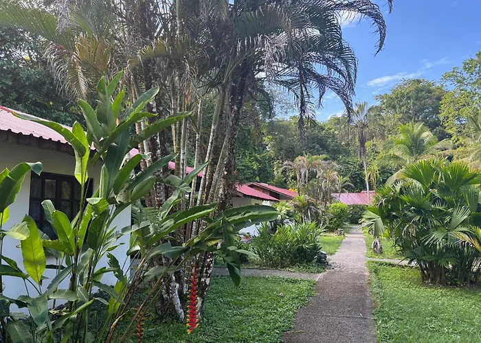 Hotel Suizo Loco Lodge & Resort